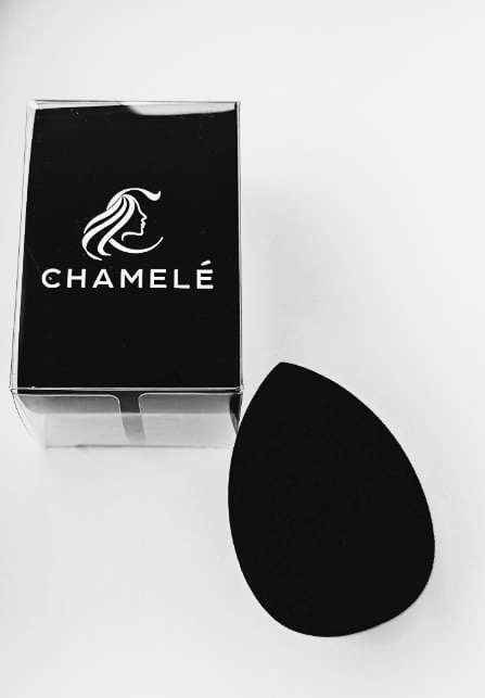 Chamelé meigikäsn